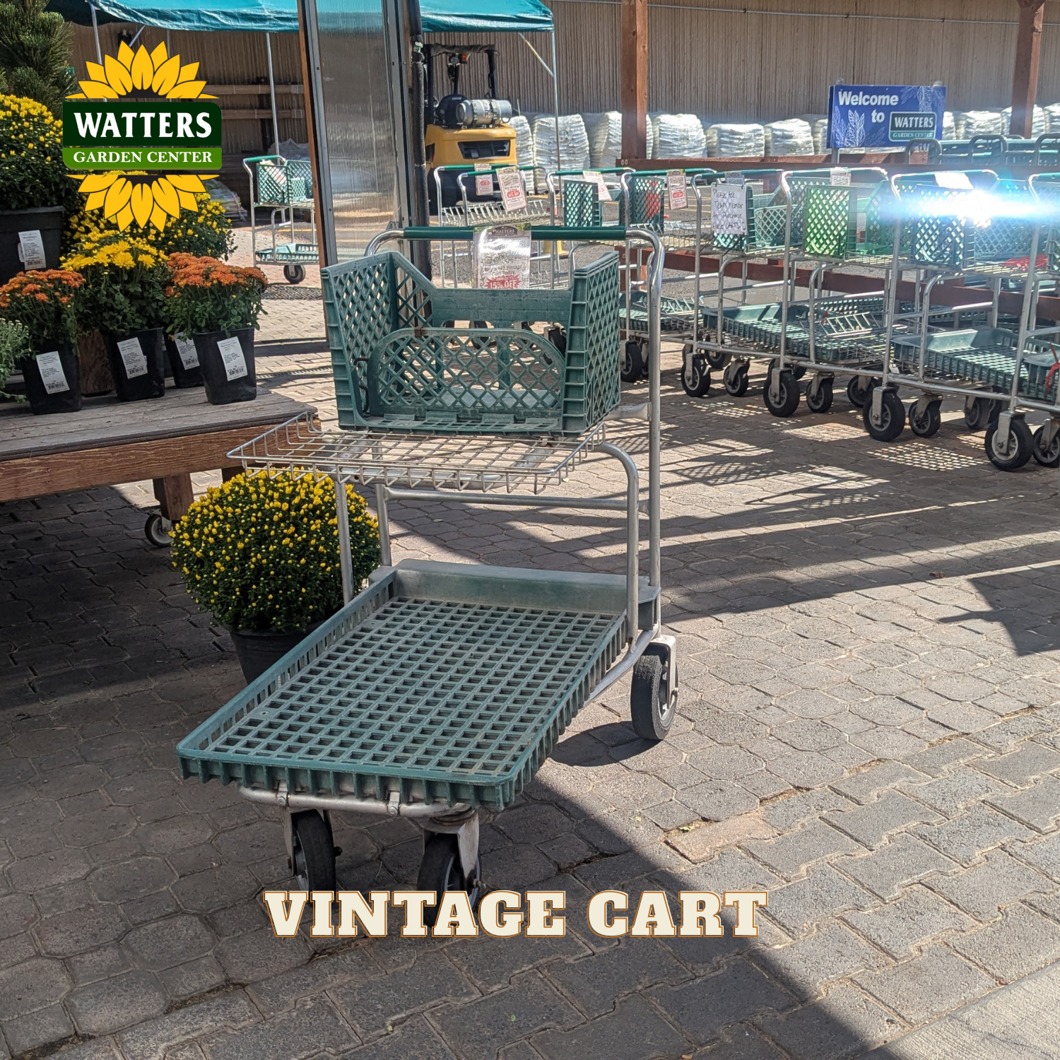 A green plastic vintage-style utility cart with a large slatted tray, a wire shelf, and a smaller basket on top, photographed in a garden center or nursery setting. The scene includes potted flowers, other carts, and a visible Watters Garden Center sign in the background.