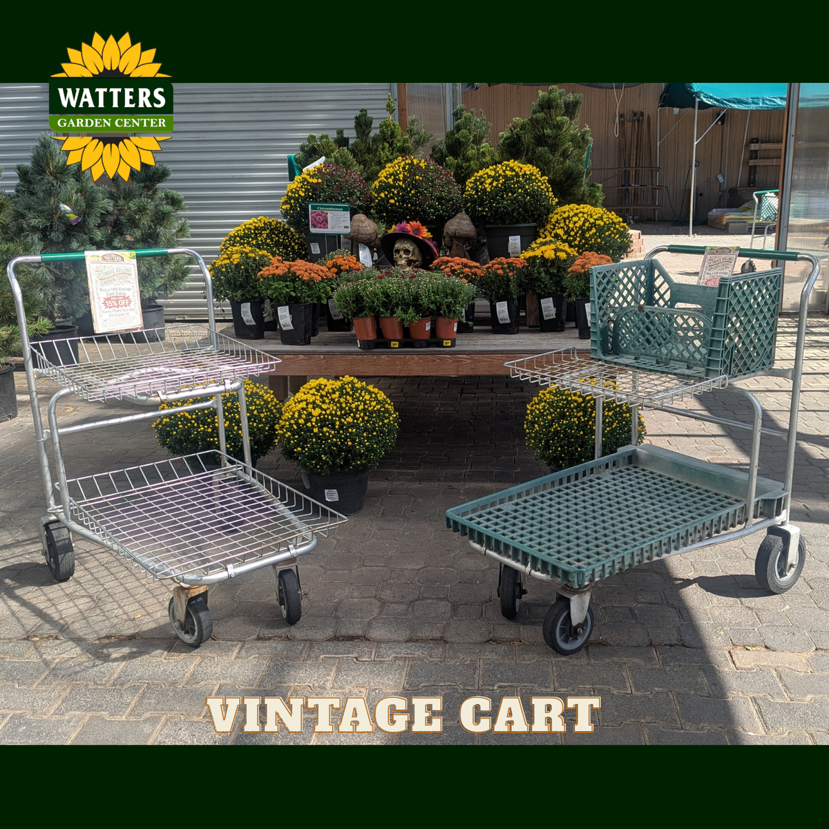 Two vintage metal garden carts, one silver wire cart and one dark green plastic cart, displayed outdoors in front of a potted plants stand. The Watters Garden Center logo is visible in the top left corner, and 'VINTAGE CART' is written at the bottom.