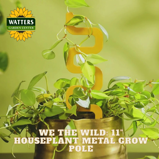 Houseplant metal grow pole with green leaves against a green background, featuring Watters Garden Center logo.