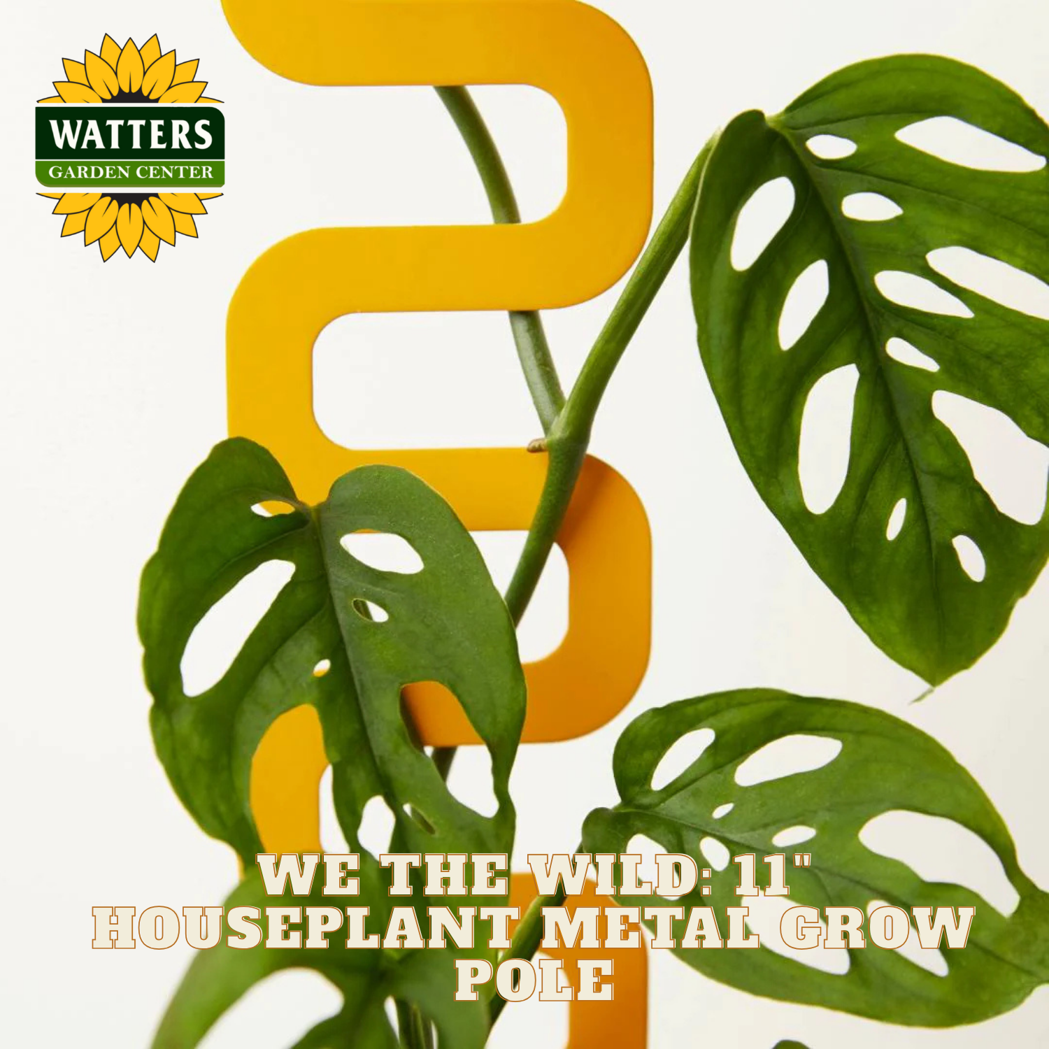 Houseplant metal grow pole with green leaves and Watters Garden Center branding.