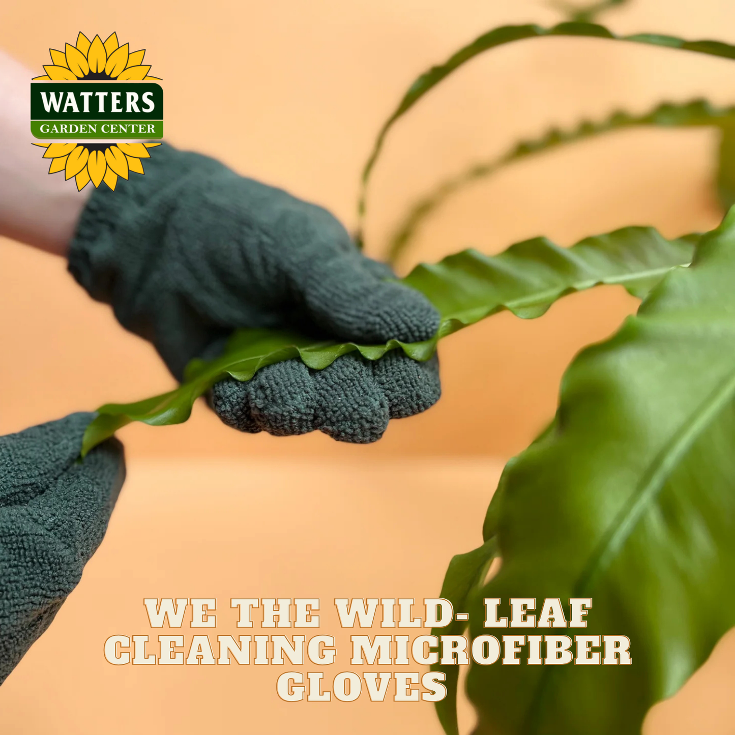 Person wearing green gardening gloves holding a leaf with Watters Garden Center logo.