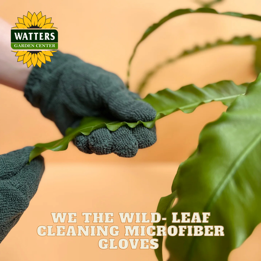 Person wearing green gardening gloves holding a leaf with Watters Garden Center logo.
