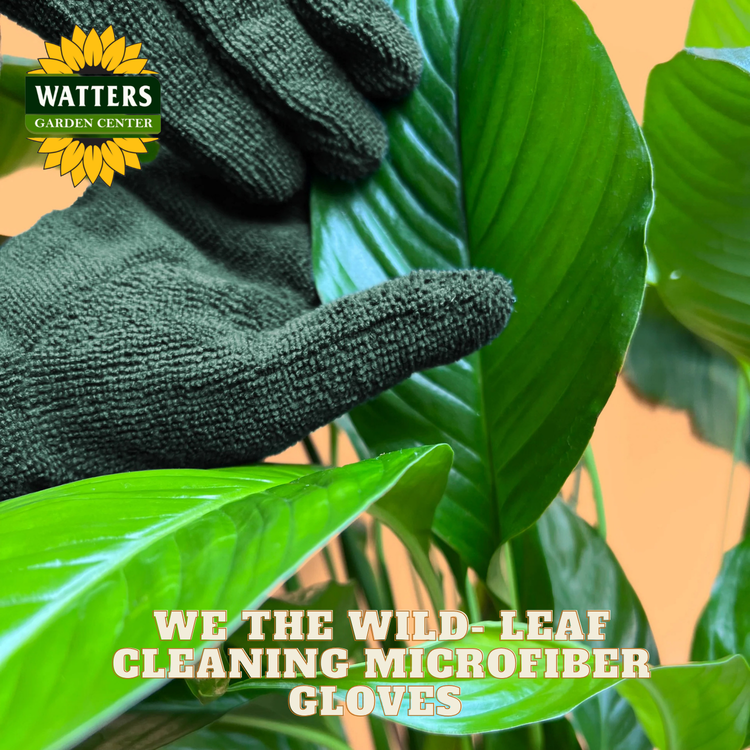 Hand wearing a leaf cleaning microfiber glove with Watters Garden Center branding.