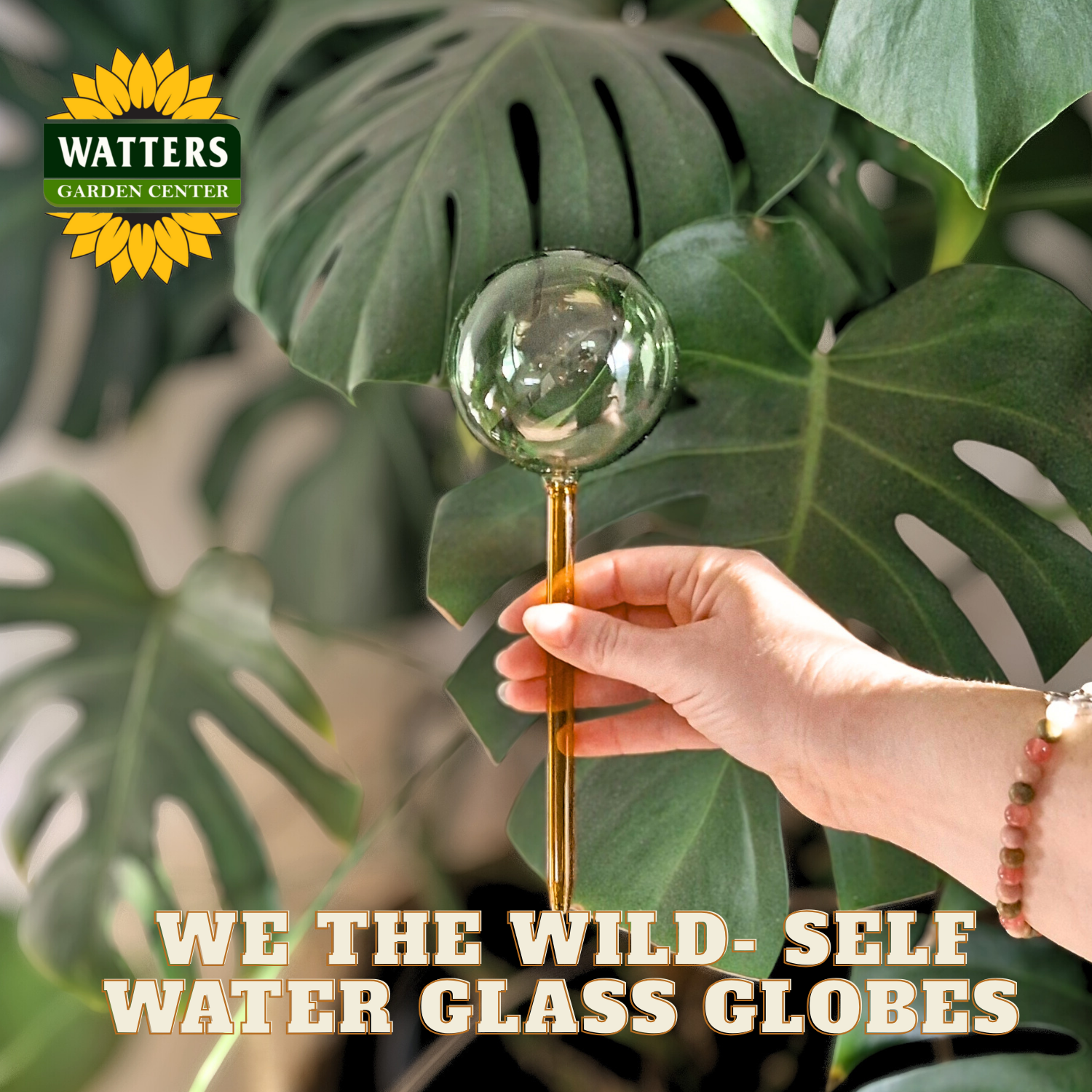 We the Wild Water Globes - Thumbnail 3