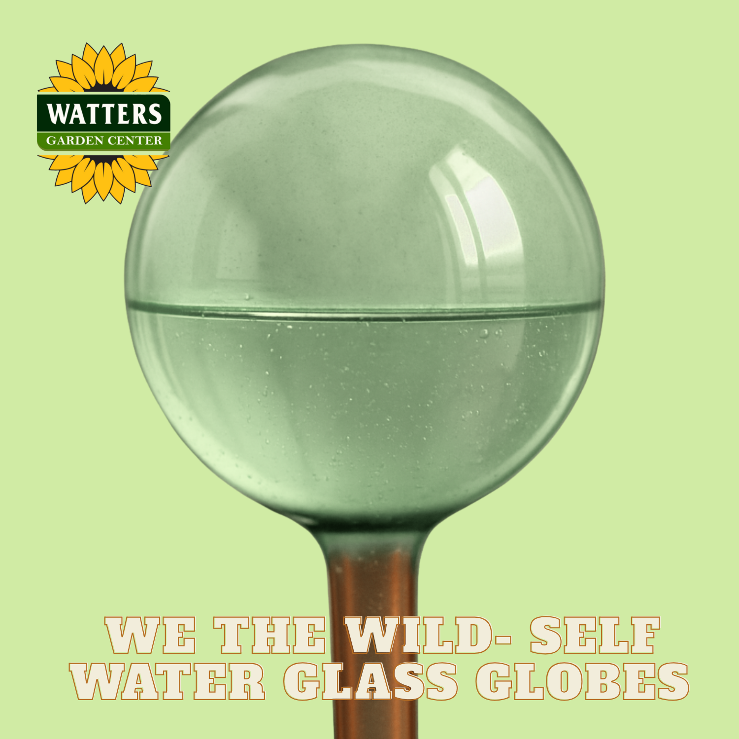 We the Wild Water Globes