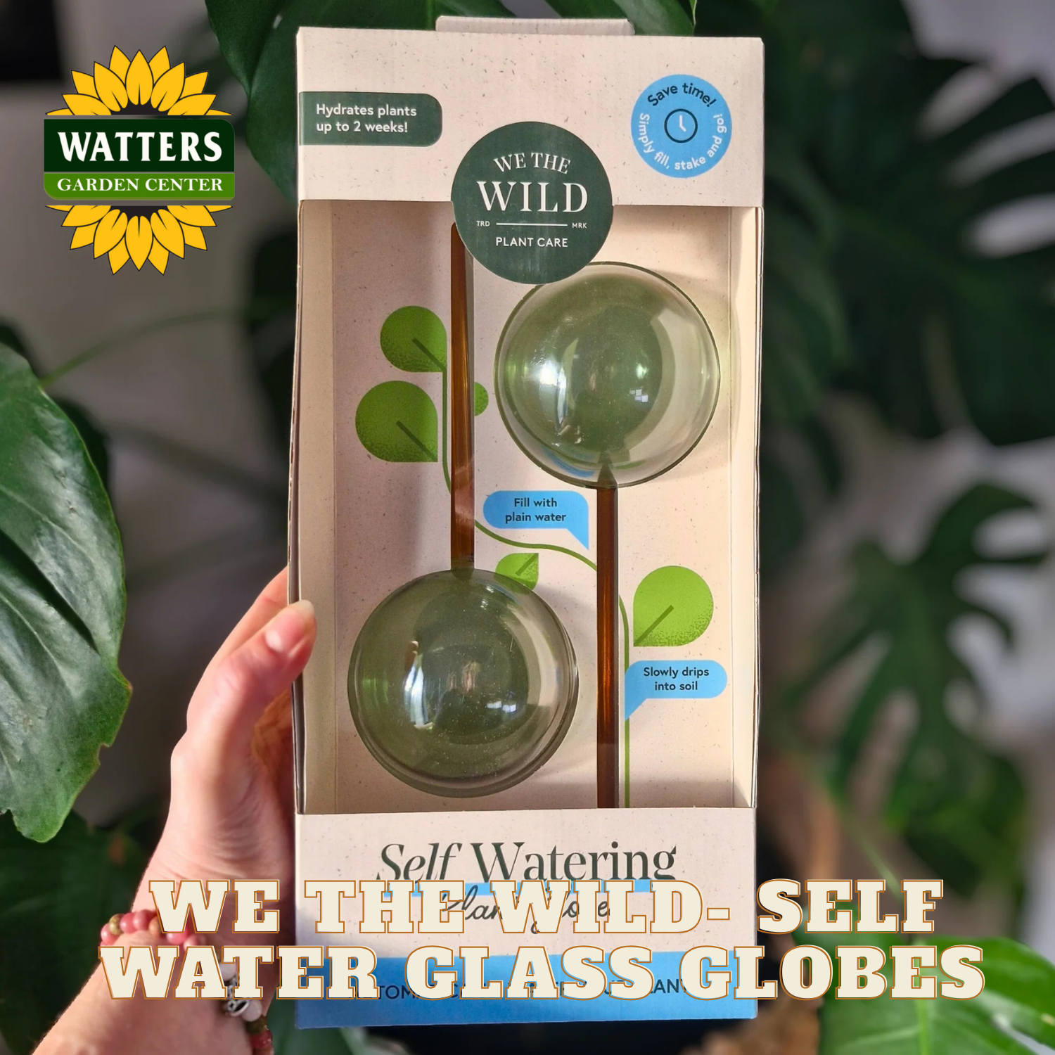 We the Wild Water Globes - Thumbnail 4