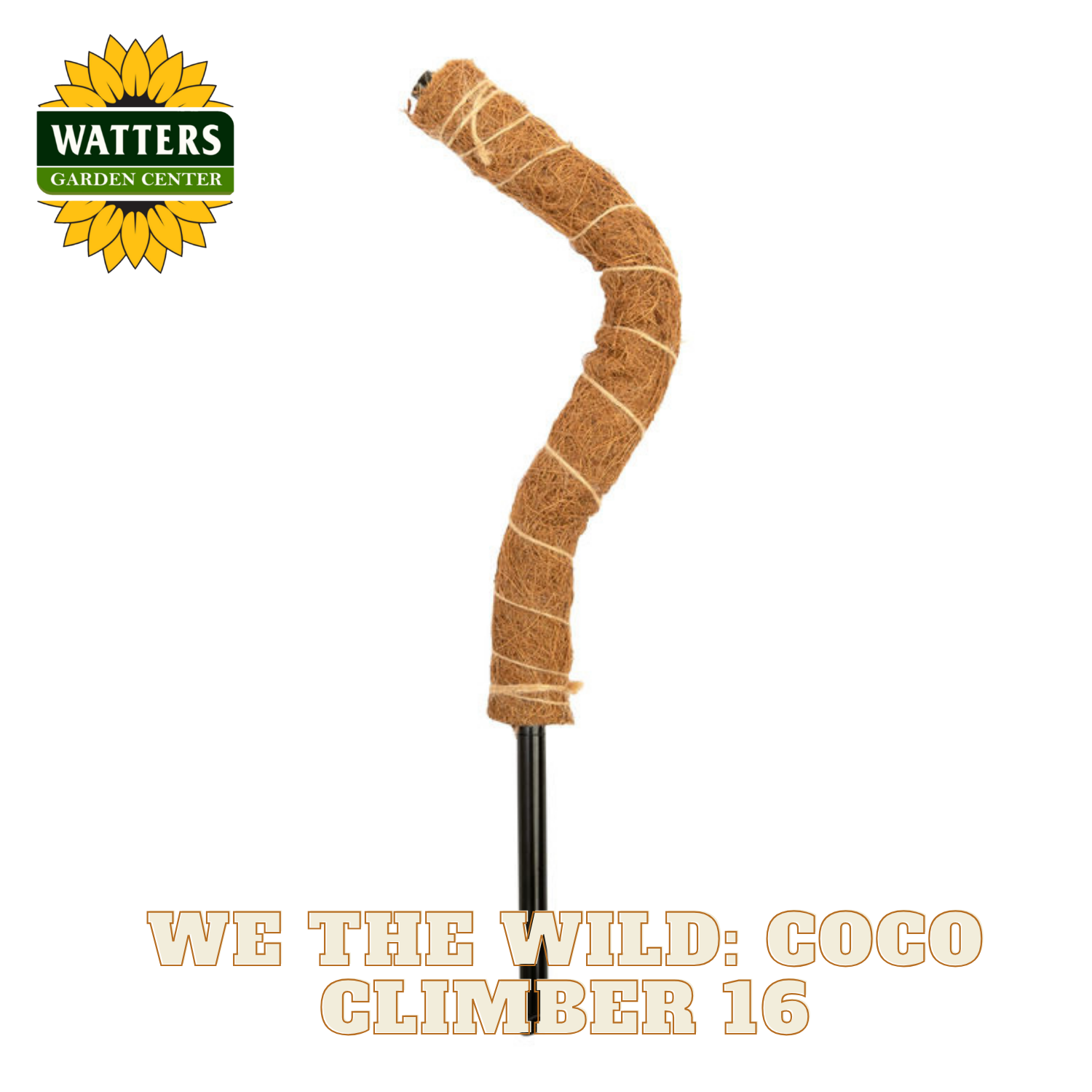 Coco climber with Watters Garden Center logo on a white background
