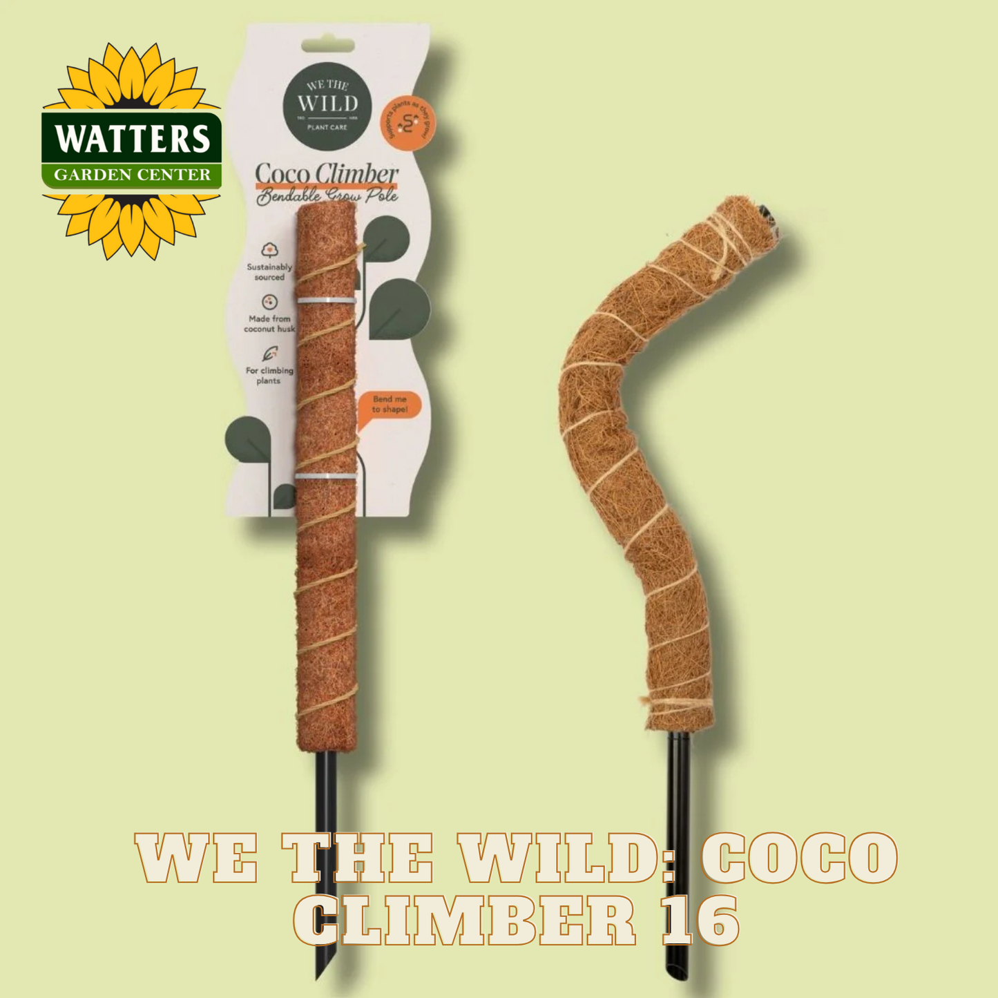 Coco climber plant support with packaging and Watters Garden Center branding on a light green background.