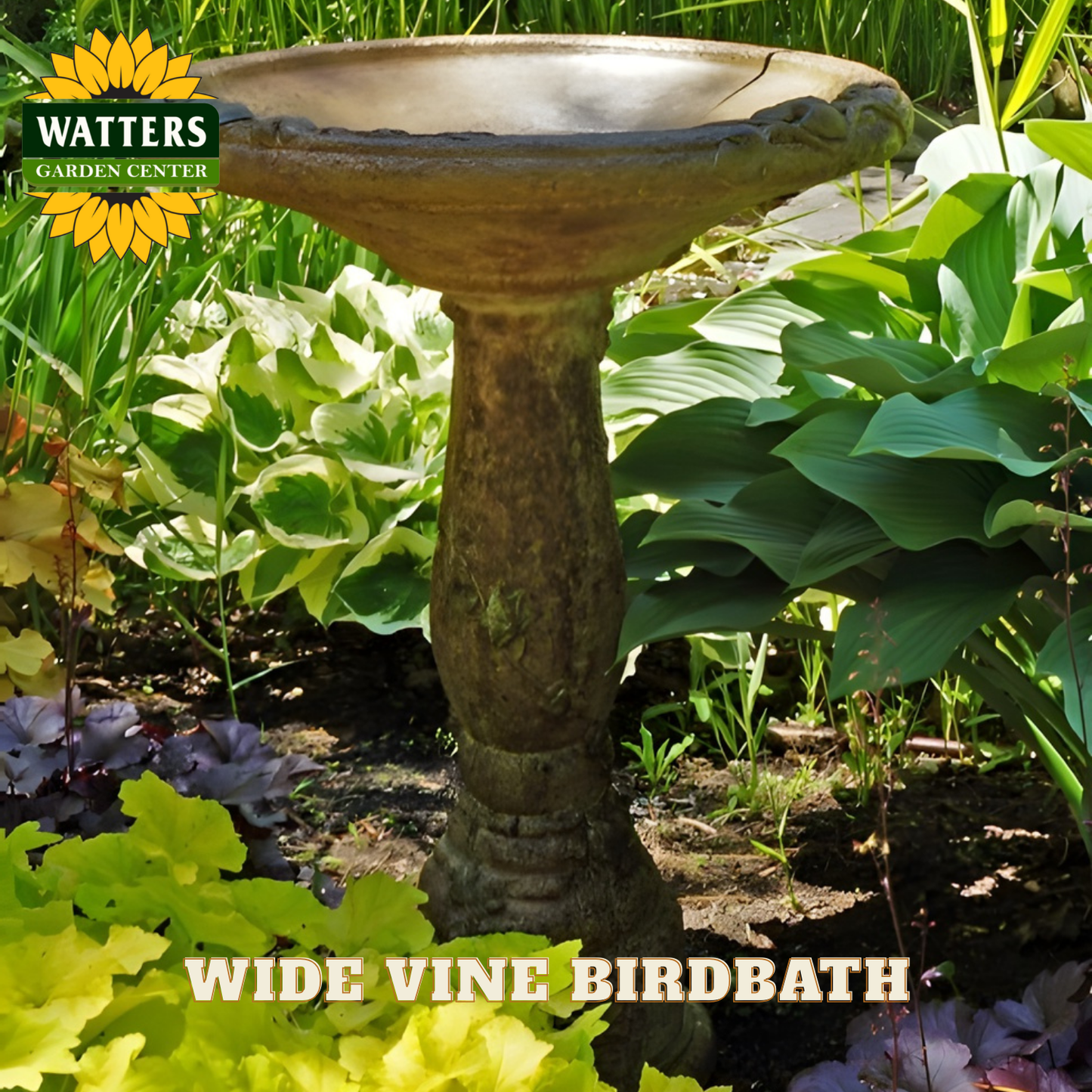 Wide vine birdbath in a garden setting with Watters Garden Center branding.