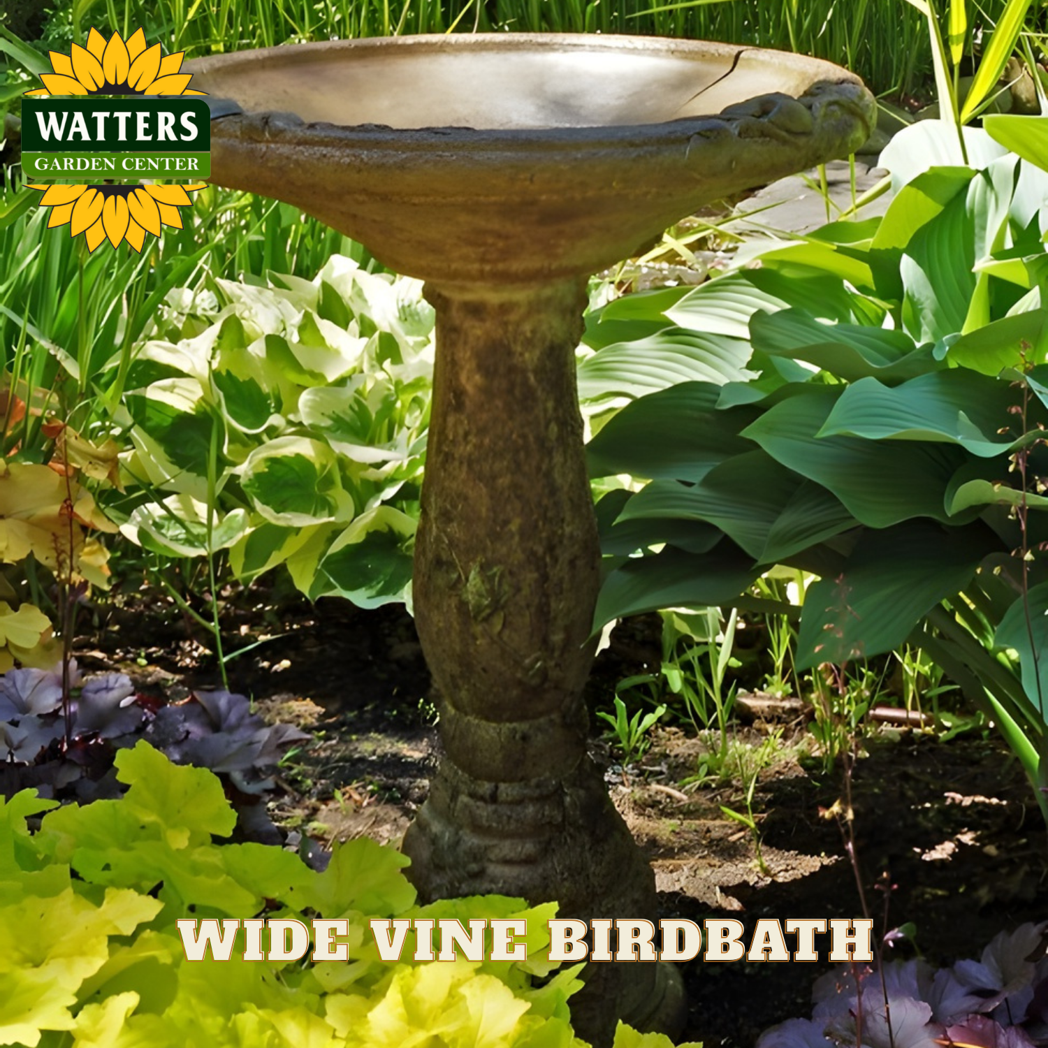 Wide vine birdbath in a garden setting with Watters Garden Center branding.