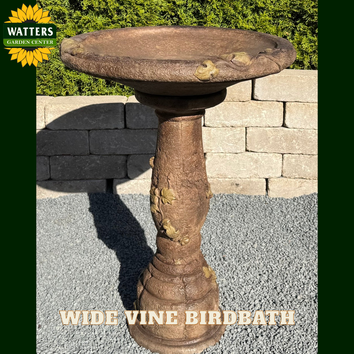 Wide Vine Birdbath with Watters Garden Center branding