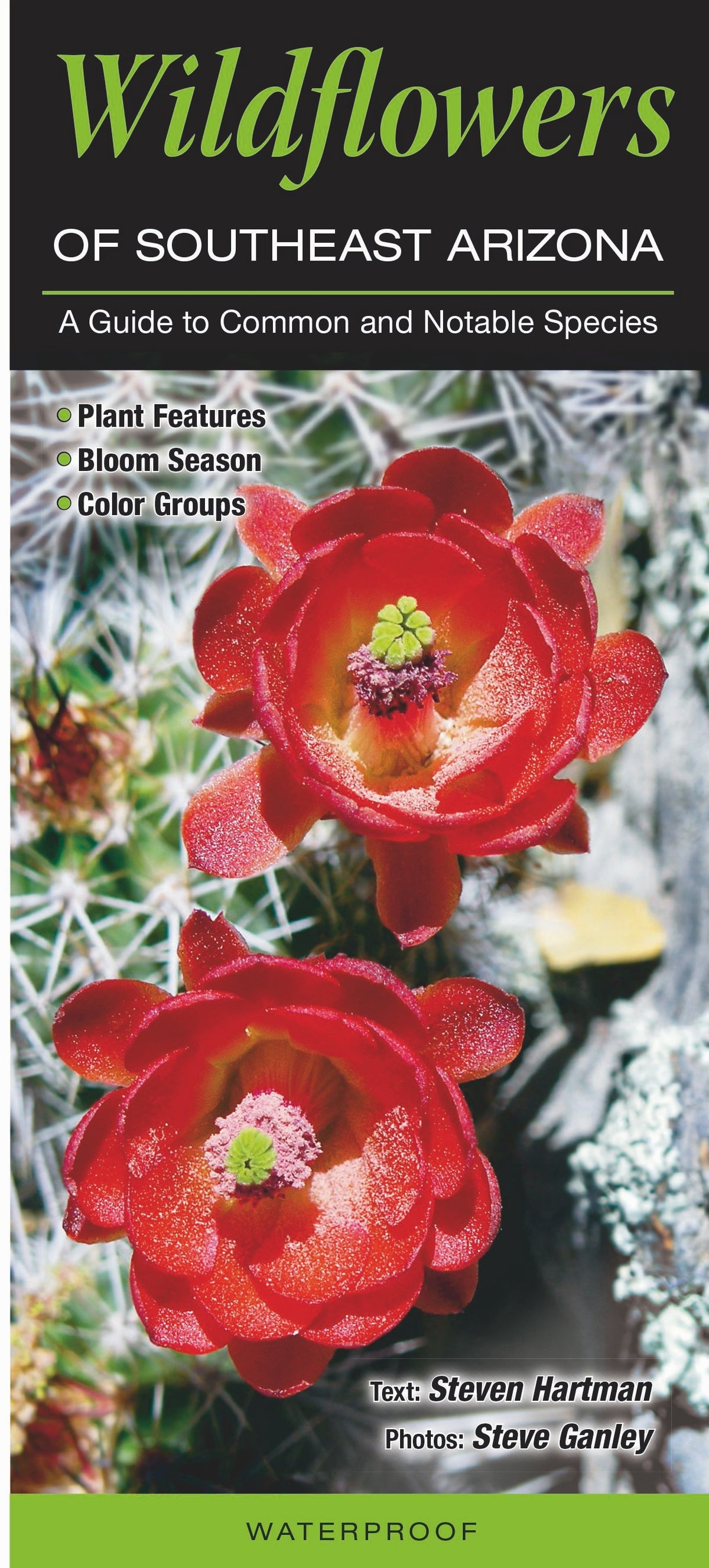 Wildflowers Pamphlet