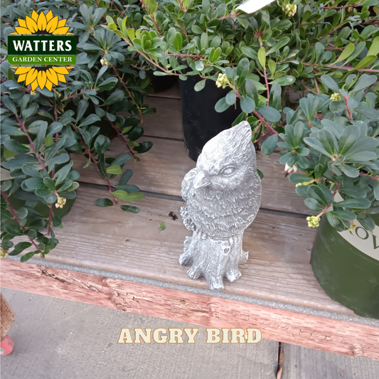 Decorative 'Angry Bird' sculpture on a wooden surface with Watters Garden Center branding.