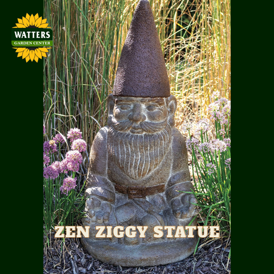 A stone garden gnome statue in a seated meditation pose, with a tall conical hat and carved facial features, shown outdoors among tall grass and pink flowers. The text 'ZEN ZIGGY STATUE' appears at the bottom, and the Watters Garden Center logo is in the top left corner.