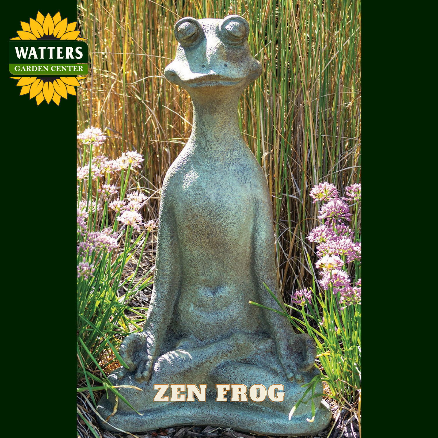 Zen frog statue in a garden setting with Watters Garden Center branding.