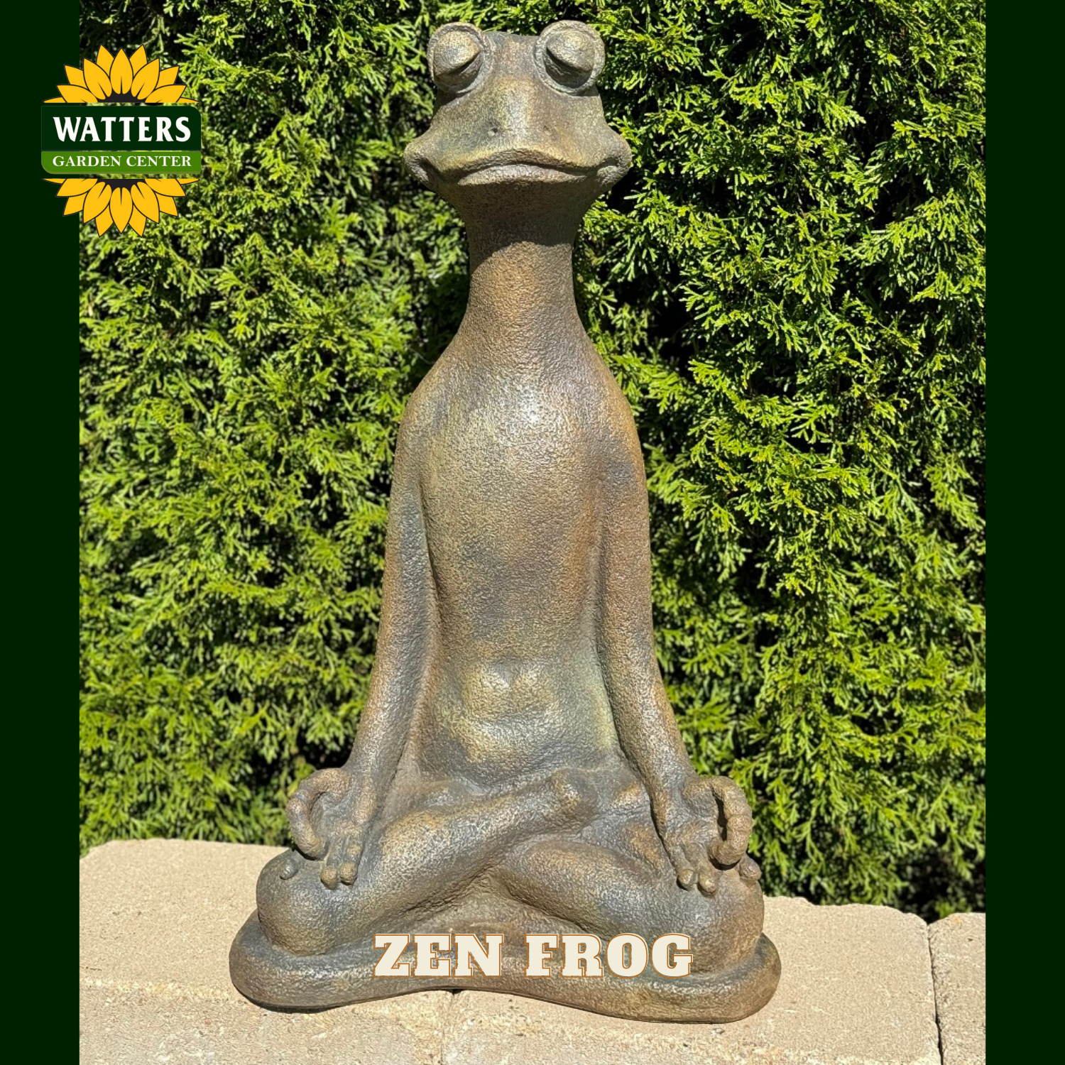 Zen frog statue with 'Watters Garden Center' logo in the corner