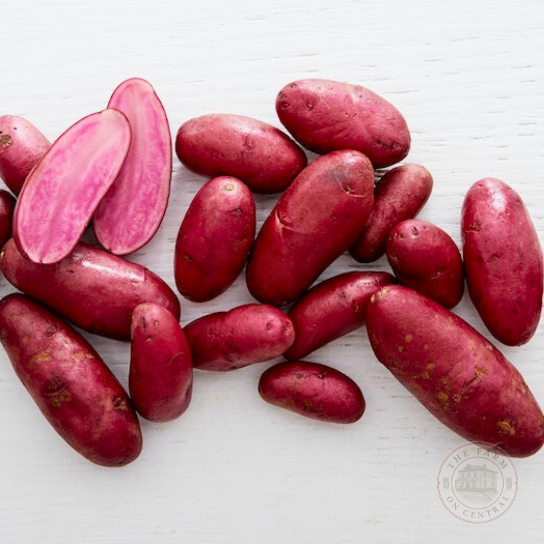 Amarosa Fingerling Potato