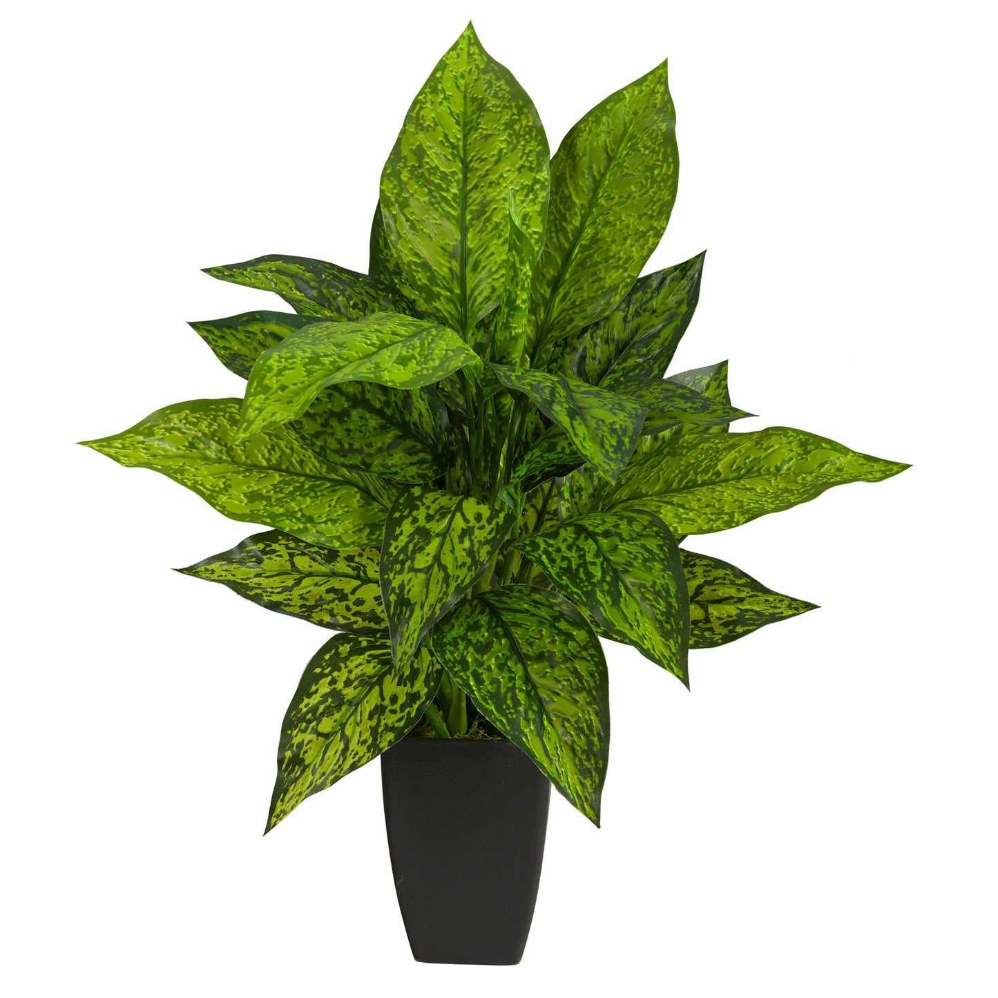 Mother in Laws Tougue Faux Dieffenbachia Plant in Designer Pot 21”