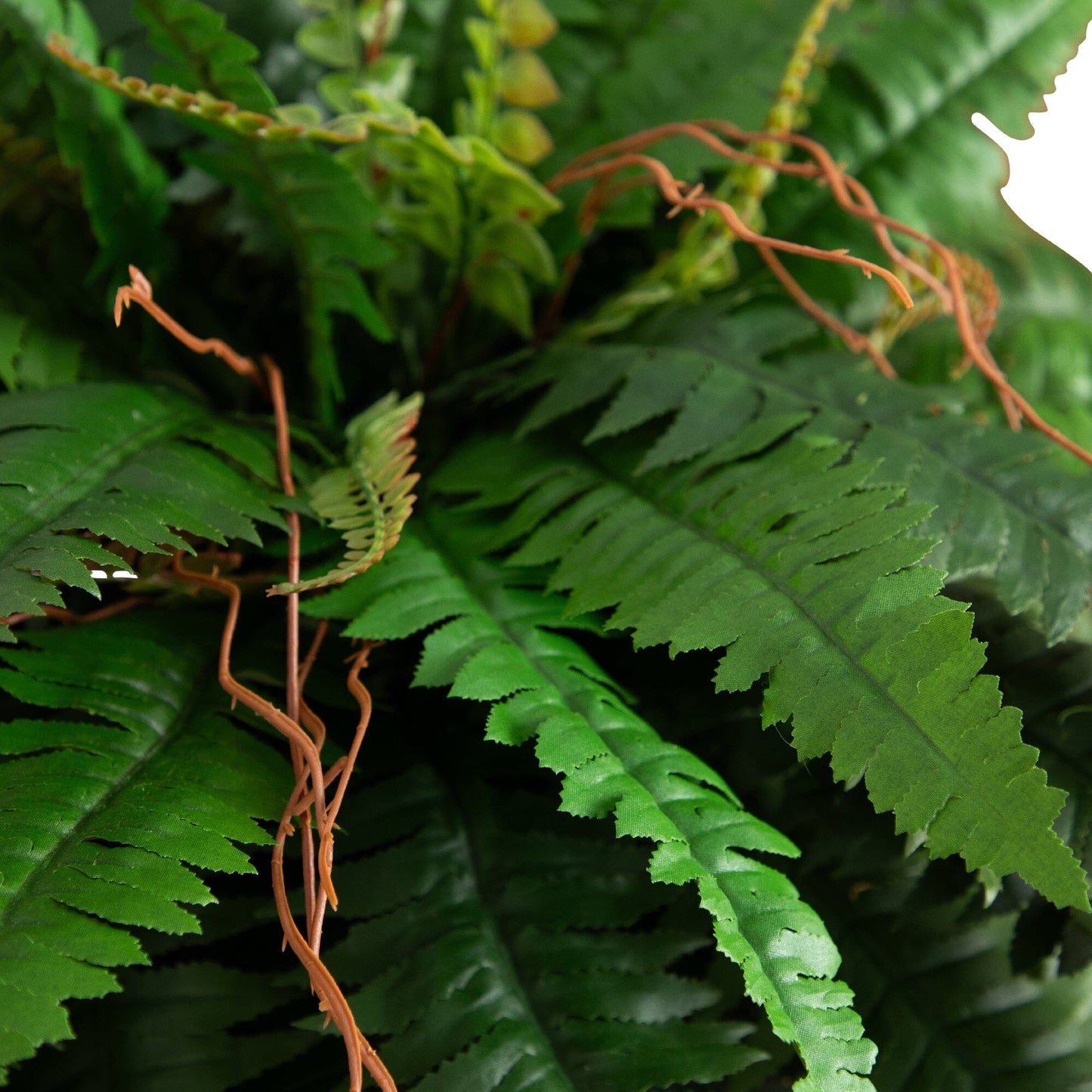 Boston Faux Fern with Brass Metal Planter & Stand 35”