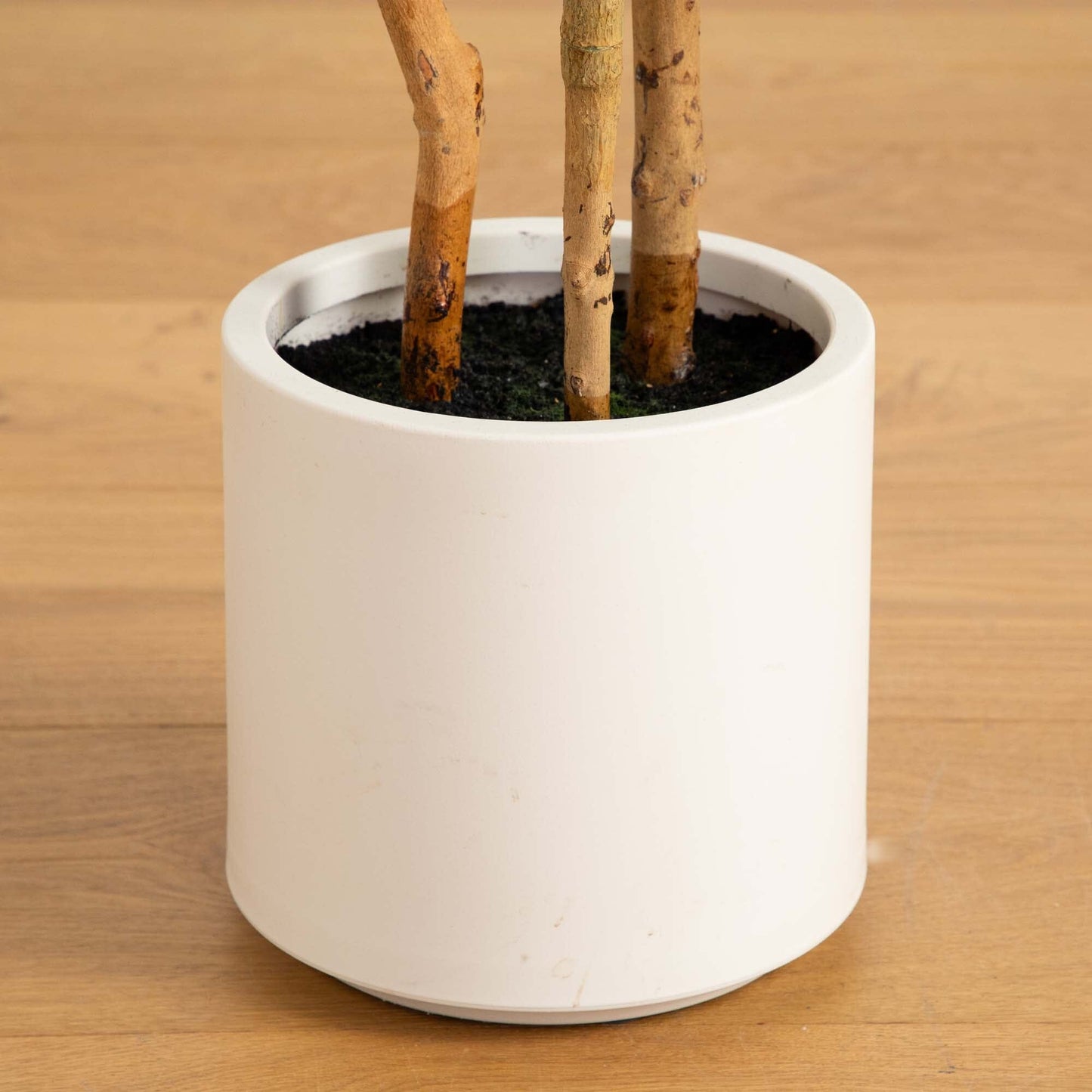 Fiddle Leaf Faux Tree in Decorative White Planter 4’