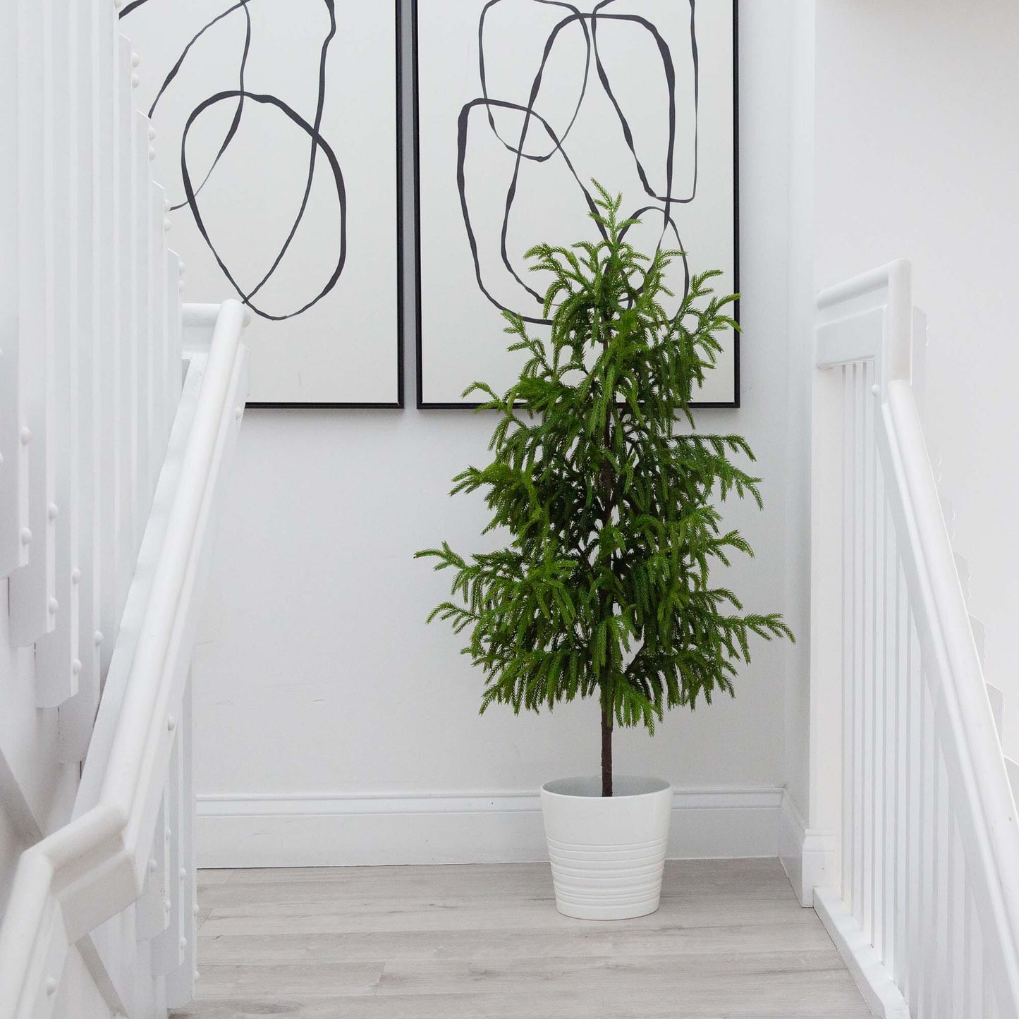 Norfolk Pine Faux Tree 4'