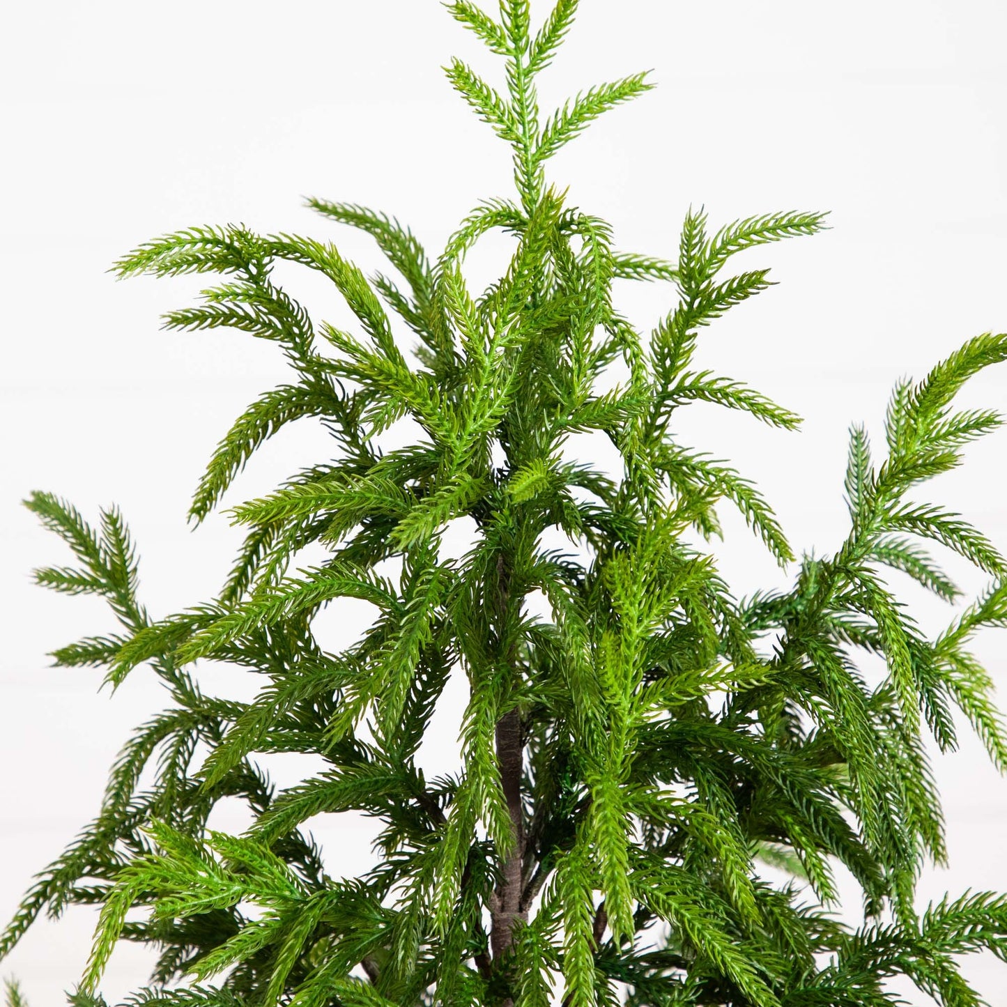 Norfolk Pine Faux Tree 4'