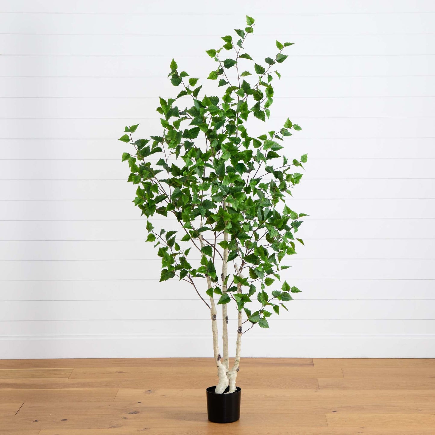 Birch Faux Tree with Real Touch Leaves 6’