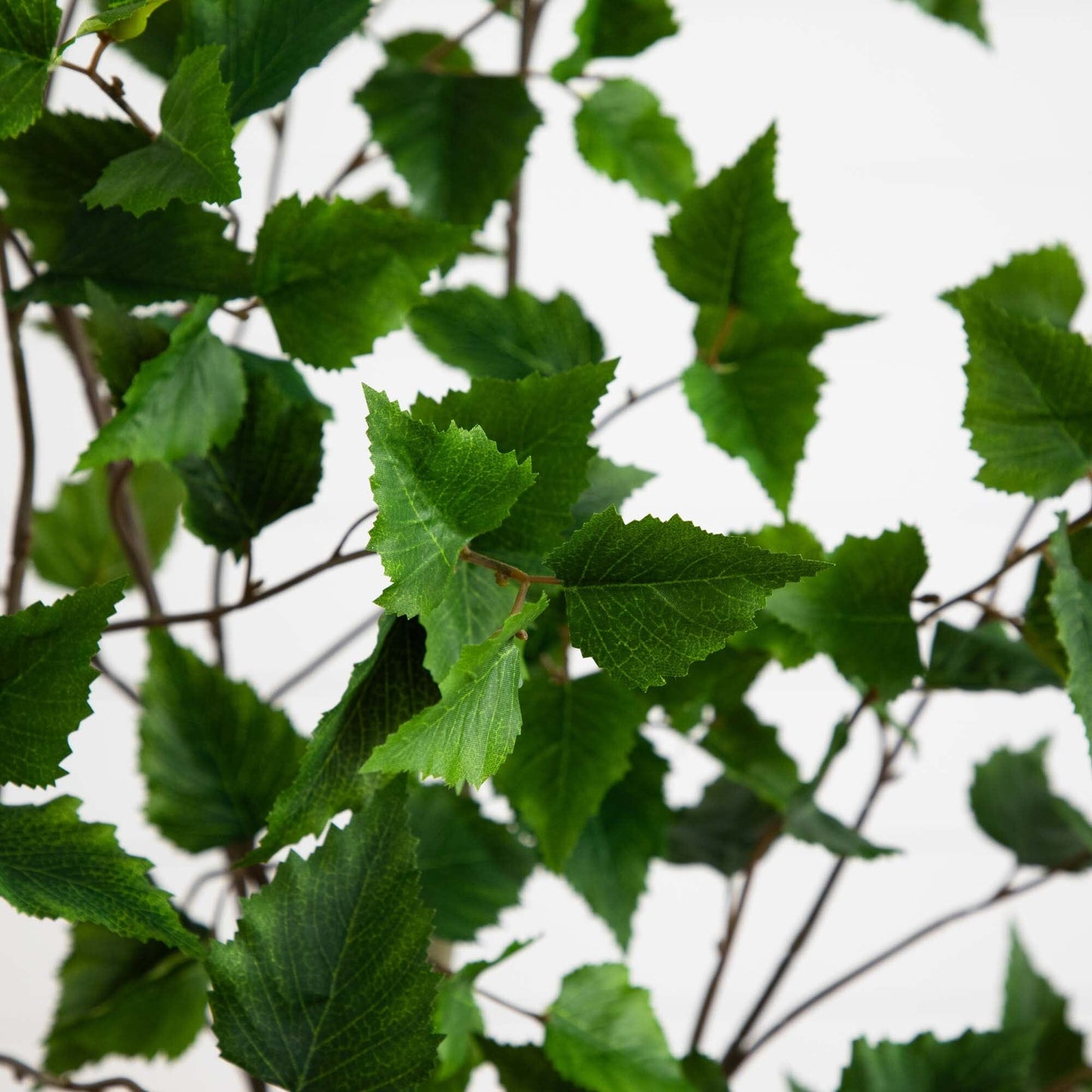 Birch Faux Tree with Real Touch Leaves 6’