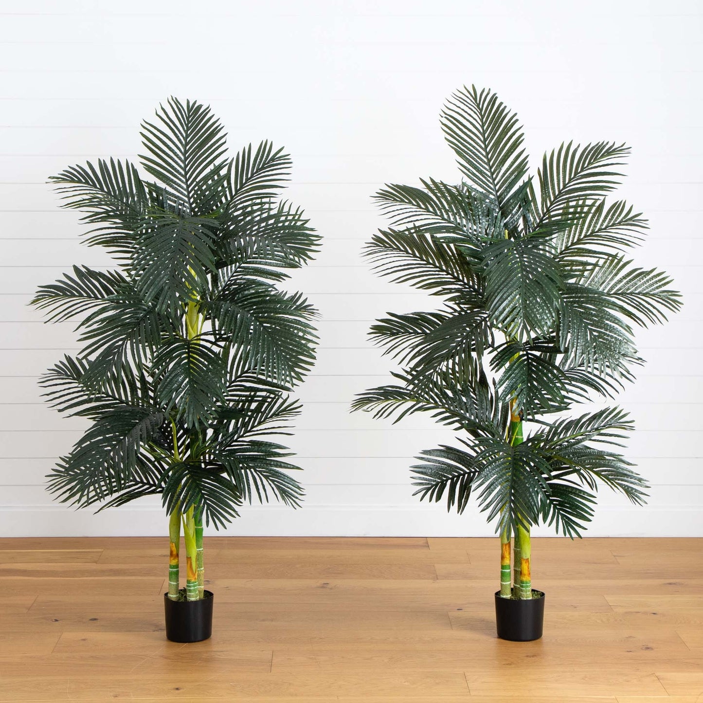 Golden Cane Palm Triple Stalk Faux Tree (Set of 2) 6’