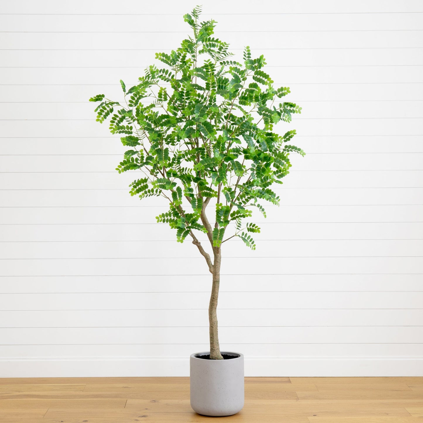 Locust Citrus Faux Tree in Decorative Planter 7.5’