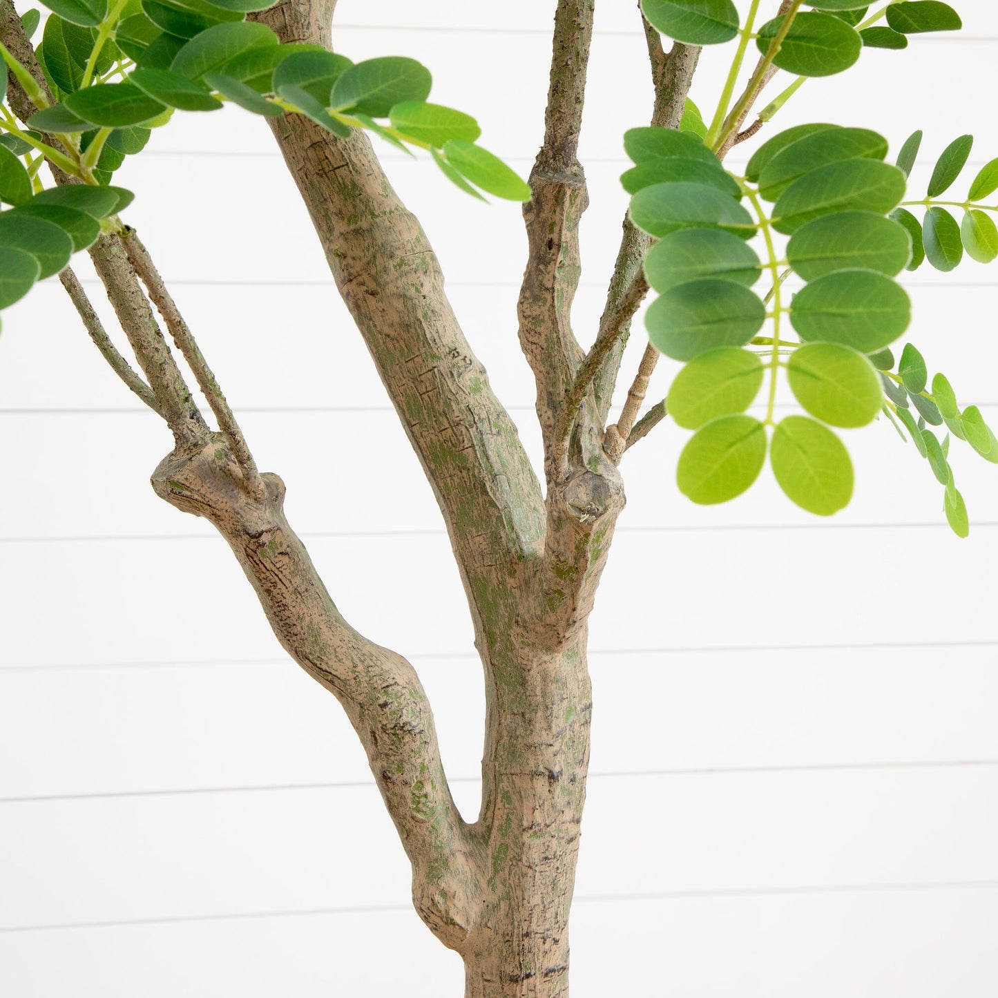 Locust Citrus Faux Tree in Decorative Planter 7.5’