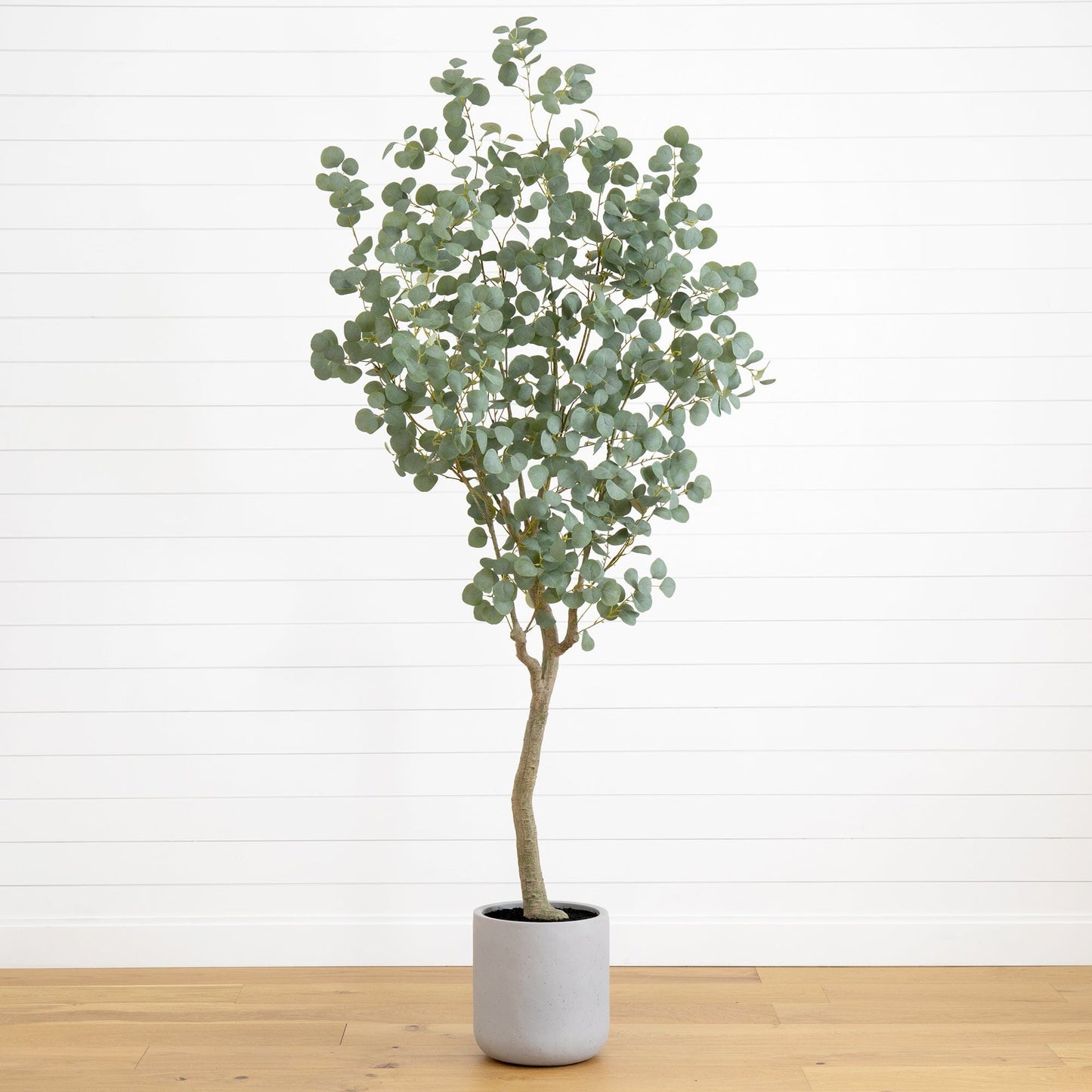 Eucalyptus Faux Tree in Resin Stone Planter 7.5’