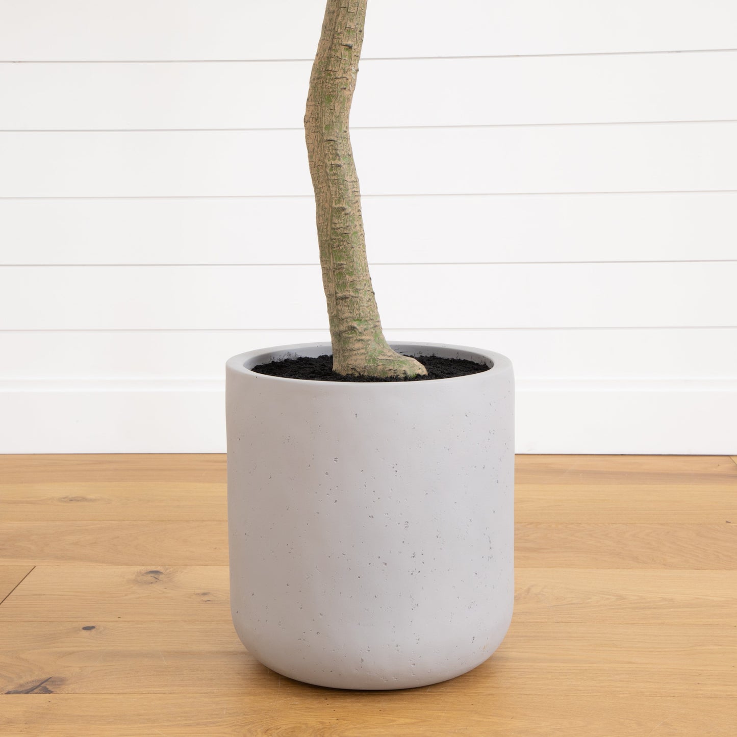 Eucalyptus Faux Tree in Resin Stone Planter 7.5’