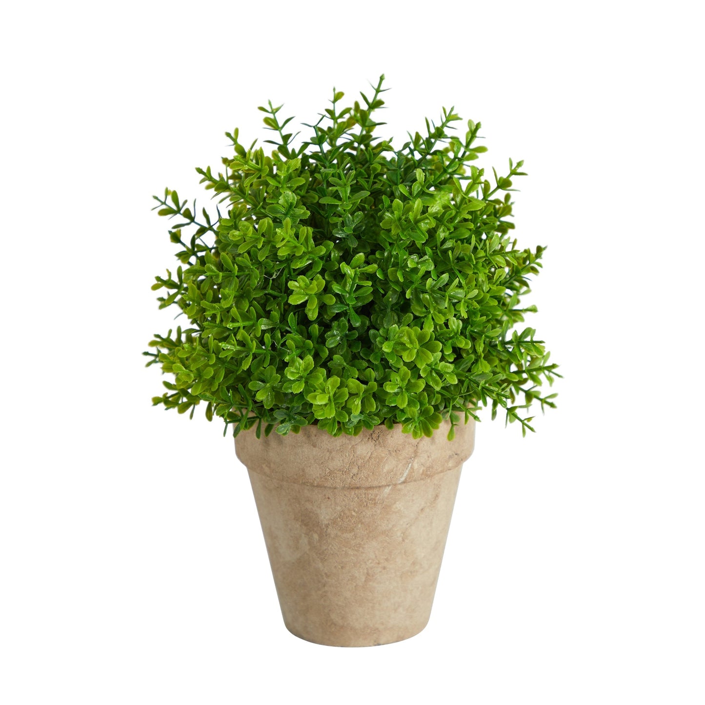 Boxwood Faux Plant in Decorative Planter 8”