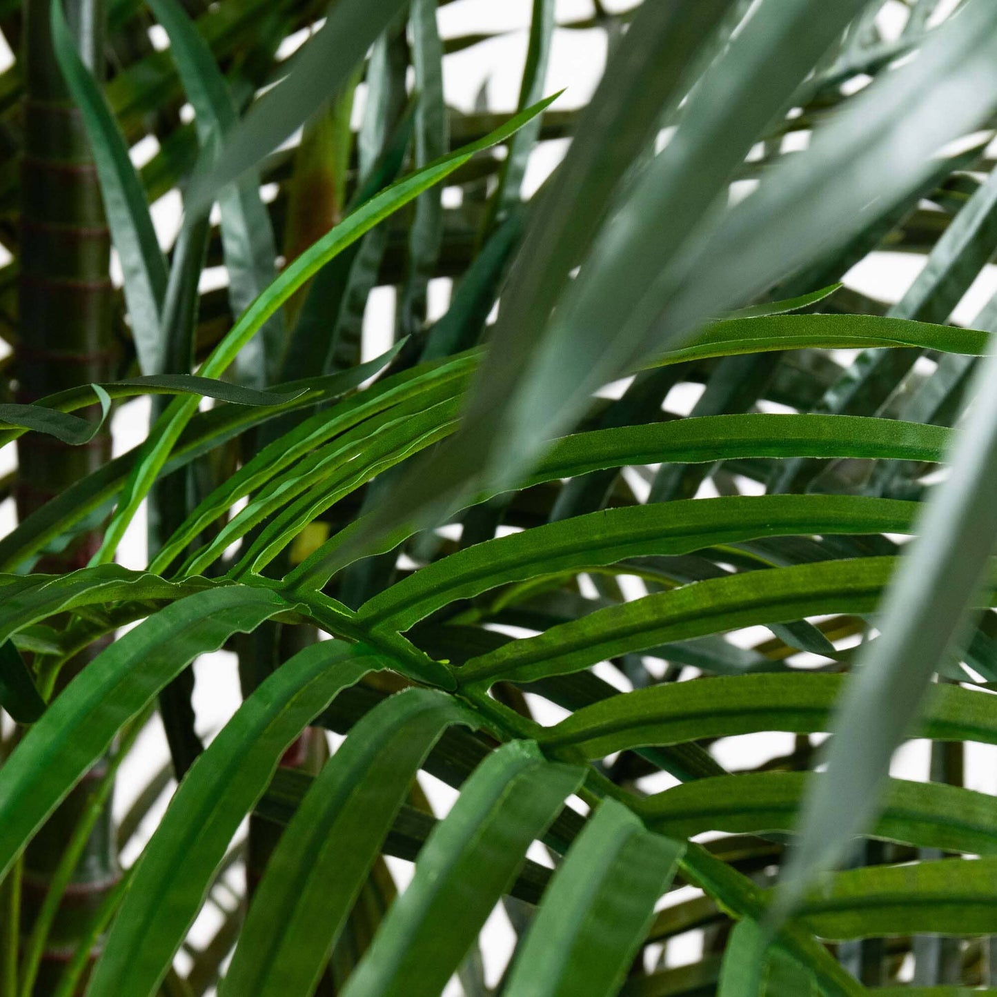Areca Palm Faux Tree 8'
