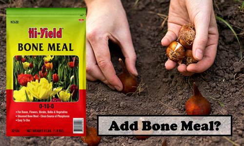 BONE MEAL 3.25lb
