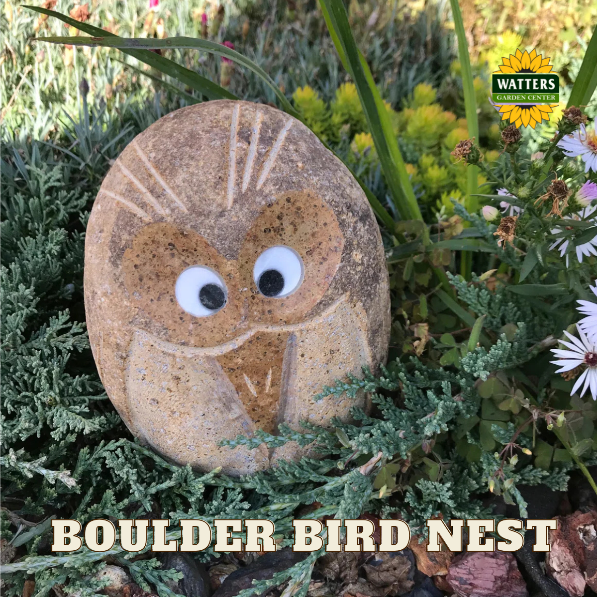 Boulder Angry Birds Family - Large 3 Pcs 6"-8"-12"