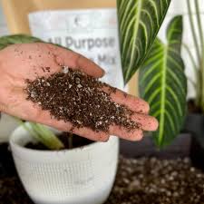 MOTHER EARTH POTTING SOIL 12qt