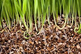 VERMICULITE 4qt