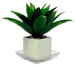 CLEAR PLASTIC SAUCER SQUARE 8in