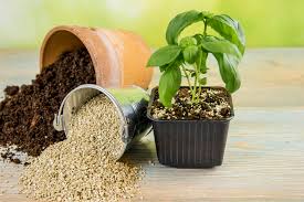 VERMICULITE 4qt