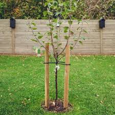 LODGE POLE STAKE 8ft