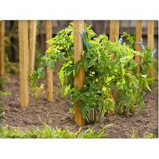 HARDWOOD STAKE 6ft BUNDLE