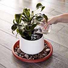 TERRACOTTA PLASTIC SAUCER 8in