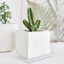 CLEAR PLASTIC SAUCER SQUARE 10in