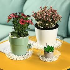 CLEAR PLASTIC SAUCER ROUND 6in