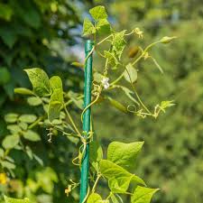 STEEL STAKE 6ft