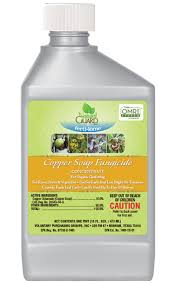 COPPER SOAP FUNGICIDE 16oz