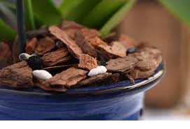 ORCHID BARK POTTING SOIL 4qt
