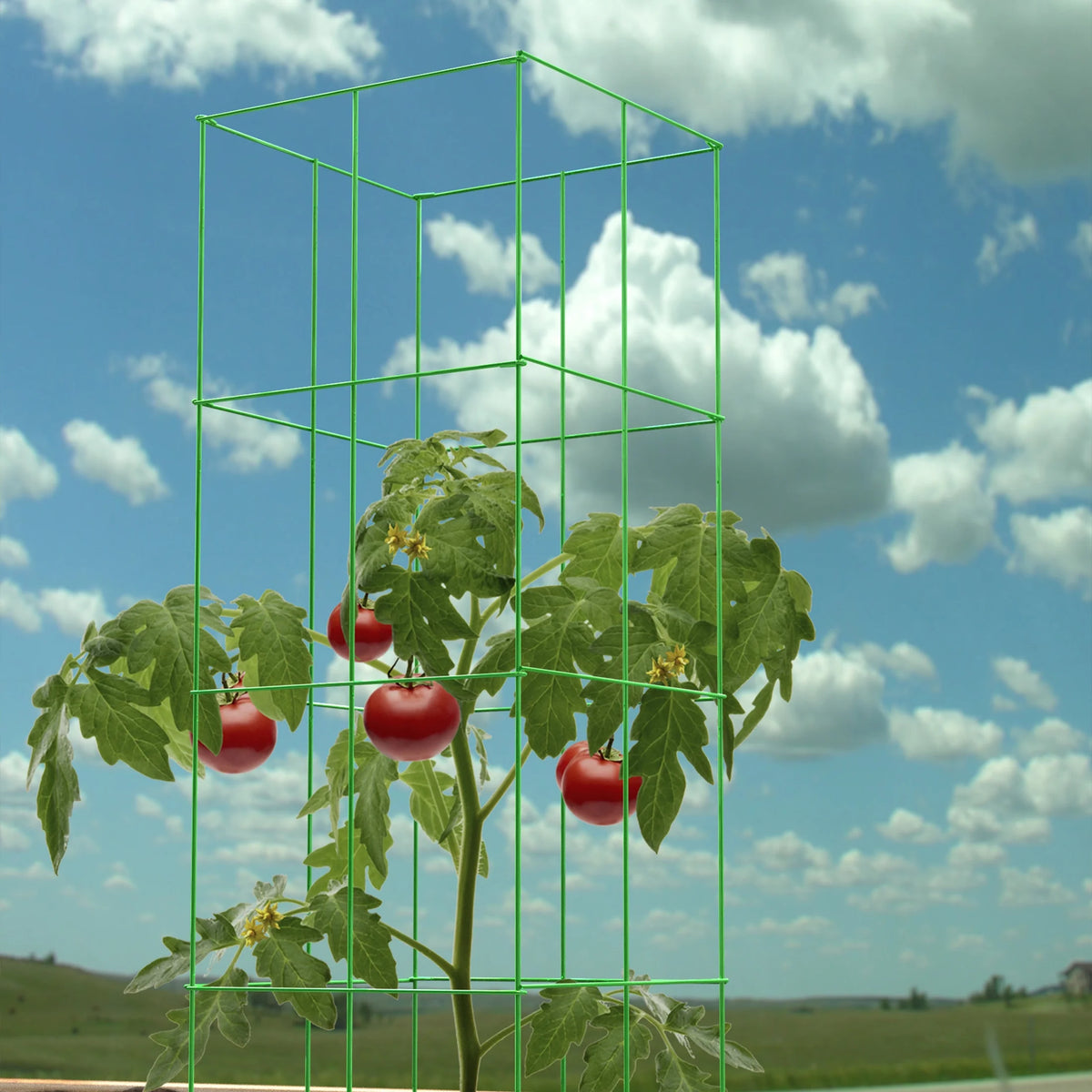 HEAVY DUTY TOMATO CAGE GREEN 47in